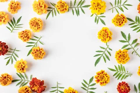 Flowers background Stock Photos