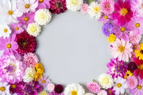 Flowers background Stock Photos