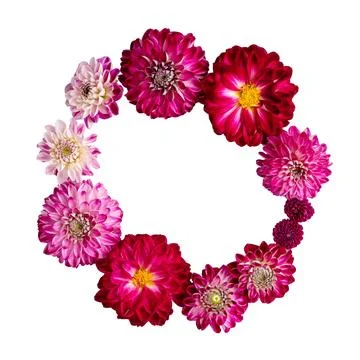 Flowers background Stock Photos