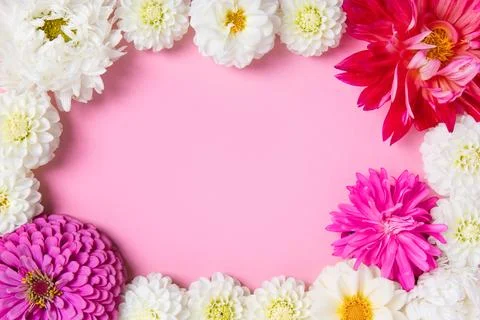 Flowers background Stock Photos