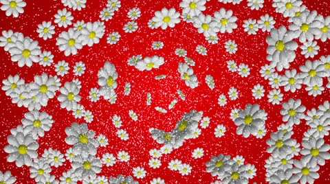 Flowers background. Red Stock Footage 22699509
