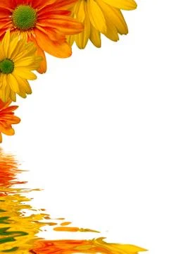 Flowers background reflecting in water Stock Illustration