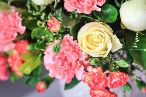 Flowers for background texture Stock Photos