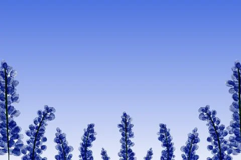 Flowers Background Vector Stock Illustration