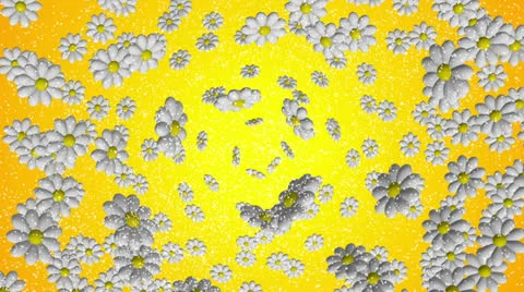 Flowers background. Yellow Stock Footage 22699734