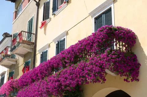 Flowers on balcony Stock Photos