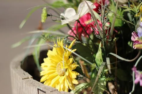 Flowers in a Barrell Foto stock