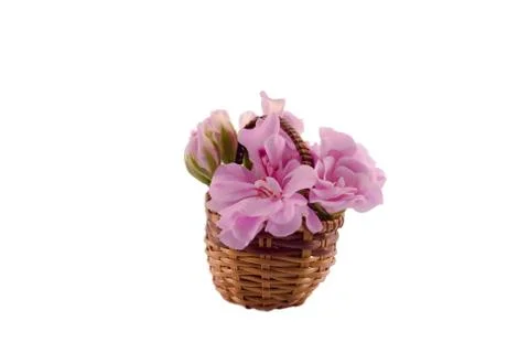 Flowers in a basket Stock Photos