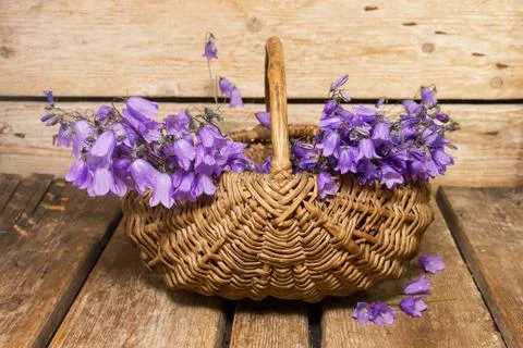 Flowers in a basket Stock Photos