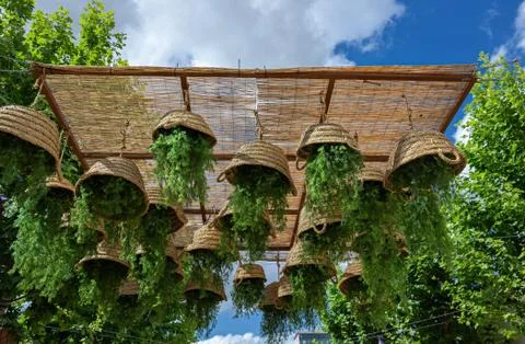 Flowers in baskets upside down Stock Photos