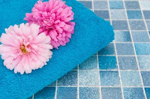 Flowers in bathroom Stock Photos