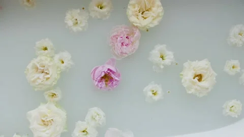 Flowers in a bathtub Video stock 170509129