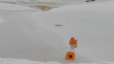 Flowers on the beach 動画素材 128450434