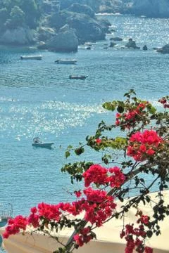 Flowers on the beach Foto stock