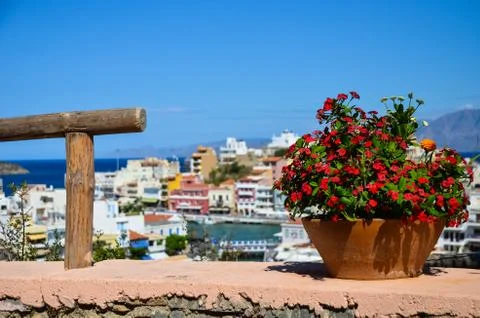 Flowers on the beach with sea views Stock Photos