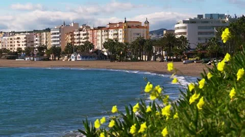 Flowers on a  beach, Spain 動画素材 21200422