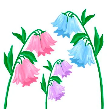 Flowers bells different flowers. Vector plants on a white background. Stock Illustration