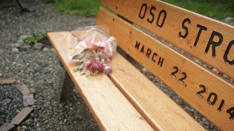 Flowers on bench Stock Footage 86757489