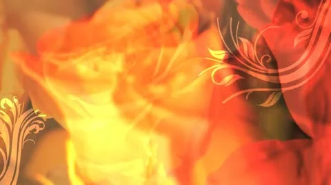 Flowers BG Stock Footage 11240573