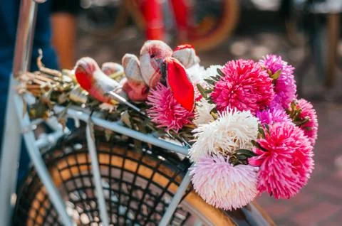 Flowers in a bicycle Stock Photos