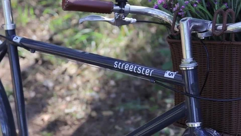 The Flowers on the Bike Stock Footage 70813909