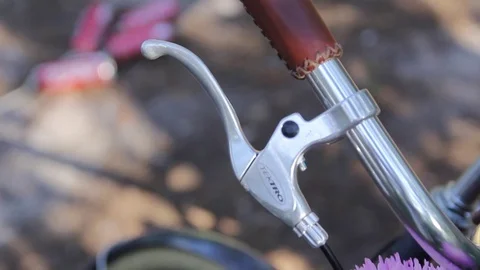 The Flowers on the Bike Stock Footage 70814044