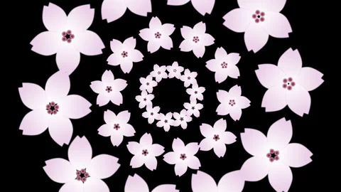 Flowers on Black Background Stock Footage 287570151