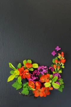 Flowers on the black background Stock-Fotos
