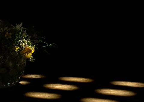 Flowers on the black background Stock Photos