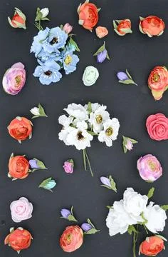 Flowers on a black, composition Stock Photos