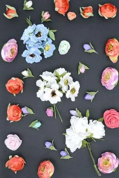 Flowers on a black, composition Stock Photos