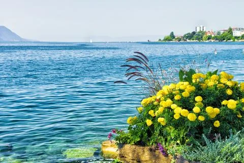 Flowers bloom at embankment of Geneva Lake in Montreux Stock Photos
