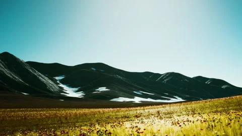 Flowers bloom in a field with mountains in the background during daylight Stock Footage 339504680