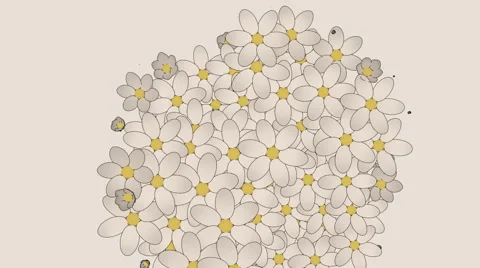 Flowers bloom Stock Footage 50315396