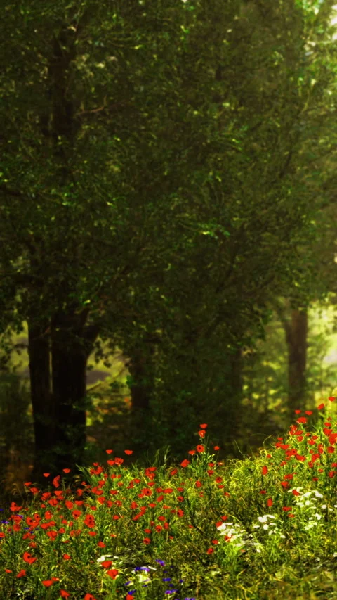 Flowers bloom near trees in a quiet garden during daylight hours Stock Footage 335975375