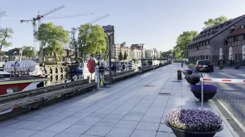 Flowers Blooming by Dane River in Klaipeda – April 19, 2025 Stock Footage 307178704