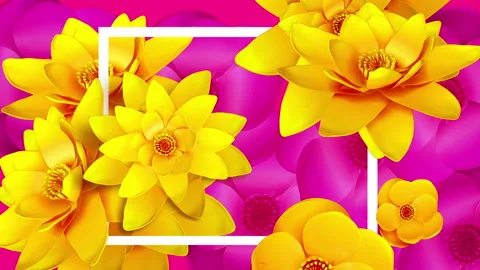 Flowers blooming isolated. Stock Footage 87641459