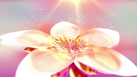 Flowers blossom isolated Stock Footage 87111324