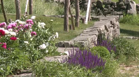 Flowers blowing in breeze Stock Footage 10786298
