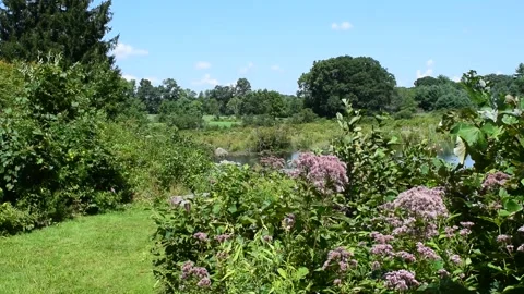 Flowers blowing in a meadow Stockbeeldmateriaal 139074525