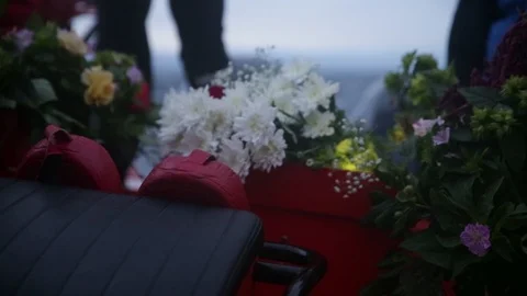 Flowers on a boat Stock Footage 87562048