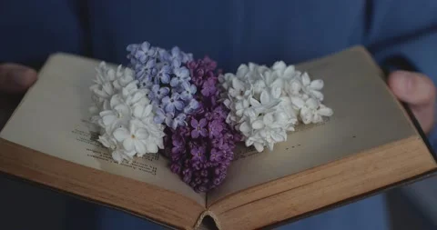 Flowers in book Видео 197110477