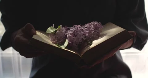 Flowers in book Video stock 197110496