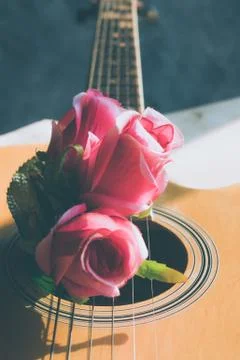 Flowers on a book Stock Photos