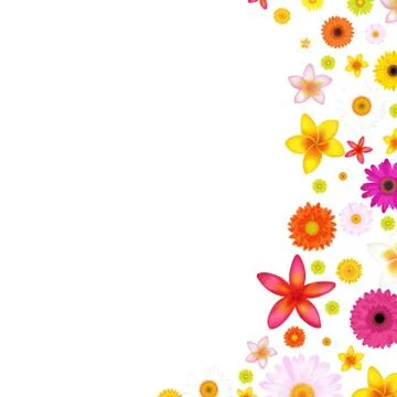Flowers border Stock Illustration
