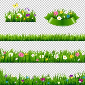 Flowers Borders Collection Stock Illustration