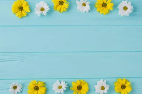 Flowers on borders composition. Stock Photos