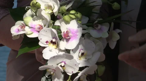 Flowers bouquet of bride Stock Footage 42479741