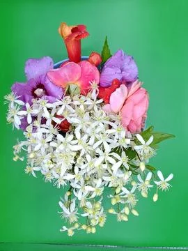 Flowers in a bouquet composition Stock Photos