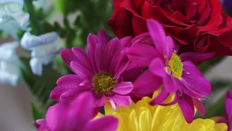 Flowers Bouquet Stock Footage 71549443